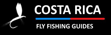 Diseño web para negocios de pesca