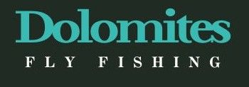 Diseño web para negocios de pesca