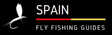 Diseño web para negocios de pesca