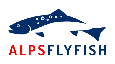 Diseño web para negocios de pesca