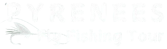 Diseño web para negocios de pesca
